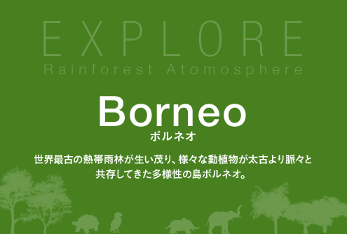 Borneo：世界最古の熱帯雨林が生い茂り、様々な動植物が太古より脈々と共存してきた多様性の島ボルネオ。